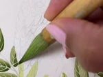 Video of Diane Hill hand painting botanical bird artwork on silk