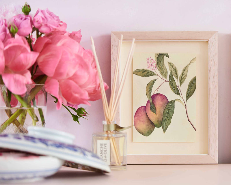 framed botanical mini art print of mangos on a tree branch