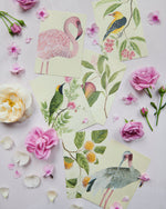6 botanical mini wall art prints featuring illustrations of birds, flowers, and fruit