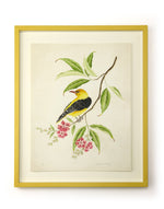 framed botanical wall art print featuring gold sparkle embellished exotic bird on tree branch with flowers
