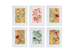 set of 6 colourful framed chinoiserie wall art prints featuring vintage-style butterflies, blossoms, and flower branches 