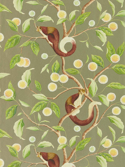 Nellie green botanical wallpaper - Gilver/Meadow