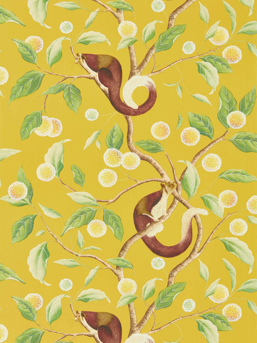 Nellie yellow botanical wallpaper - Honey/Meadow