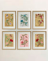 Set Of 6 Chinoiserie Wall Art