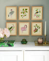 Set of 6 botanical wall art prints in living room on green wall with light wood frames