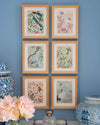 Set of six chinoiserie wall art prints In frames creating a gallery wall