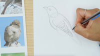 Paint A Chinoiserie Bird: Advanced Mini Course