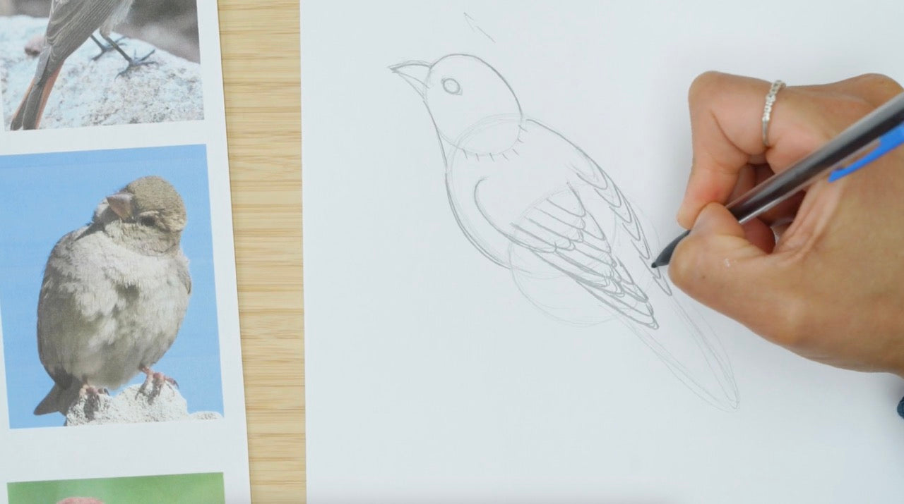 Paint A Chinoiserie Bird: Advanced Mini Course