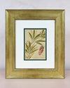 Blush Bamboo Original Painting - Diane Hill