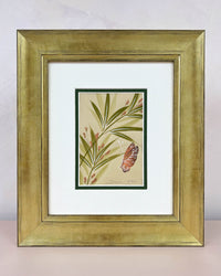 Blush Bamboo Original Painting - Diane Hill