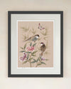 Bonnie Art Print - Diane Hill