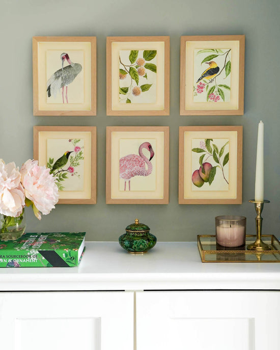 Botanical Mini Art Prints - Set Of 6 - Diane Hill