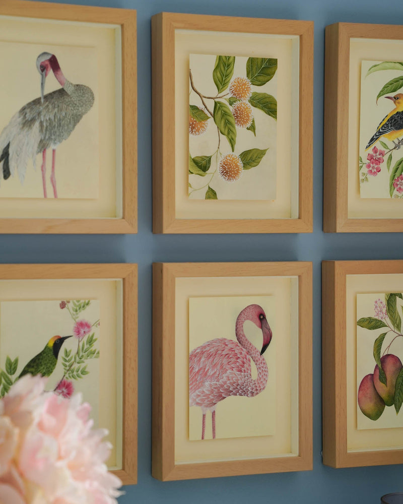 Botanical Mini Art Prints - Set Of 6 - Diane Hill
