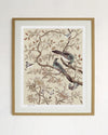 Felicity Art Print - Neutral - Diane Hill
