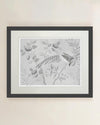 Lulu Art Print - Diane Hill