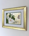 Mottled Dog Rose And Butterfly Original Painting - Diane Hill