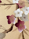 Plum Blossom Original Painting - Diane Hill
