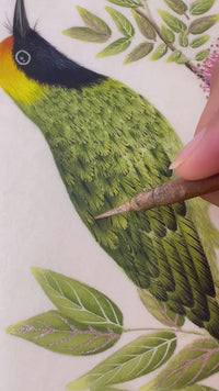 painting gold embellishments onto botanical bird painting with a fine natural hair Chinese paintbrush using gouache paint on silk painting paper