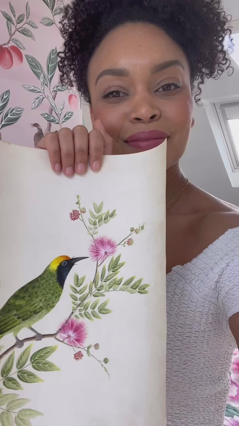 Video of Diane Hill hand painting botanical bird artwork on silk