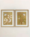 Rhoda & Britney Art Prints - Set Of Two - Diane Hill