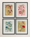 Set Of 4 Chinoiserie Wall Art Prints - Diane Hill