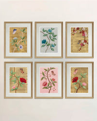 Set Of 6 Chinoiserie Wall Art - Diane Hill