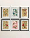 Set Of 6 Chinoiserie Wall Art - Diane Hill