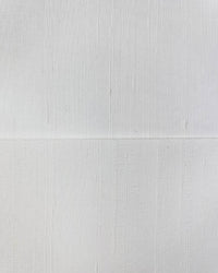 Slub Silk Paper - Diane Hill