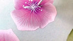 A video of Diane Hill hand painting delicate pink hydrangea flowers on silk with watercolours and chinese brushes