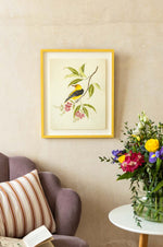 Golden oriole bird botanical art print yellow bird green leaves pink flowers