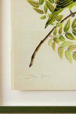 Close up of hand painted gold detail botanical bird art