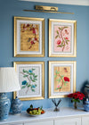 set of 4 colourful framed chinoiserie wall art prints featuring vintage-style butterflies, blossoms, and flower branches displayed as gallery wall