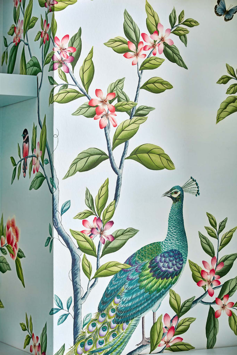 close up of blue classic chinoiserie wallpaper featuring chinese illustration style peacocks, birds, and botanicals