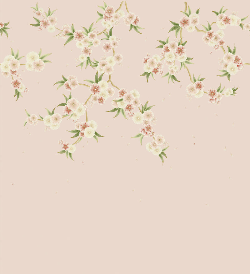 Pink chinoiserie wallpaper mural with light pink and white Japanese cherry blossom flowers