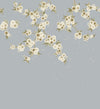 Grey chinoiserie wallpaper mural with white Japanese cherry blossom flowers