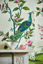 Florence Botanical Wallpaper, Peacocks and flowers, Wallpaper for the living room and lounge, Colourful wallpaper