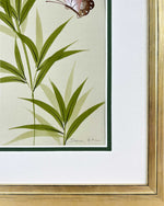 Green Bamboo On Silk (A) Original Painting