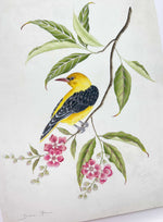 Close up of gold embellished detail on Golden oriole bird botanical art print yellow bird green leaves pink flowers