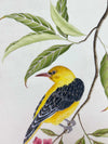 close up of botanical wall art print featuring gold sparkle embellished exotic bird on tree branch with flowers