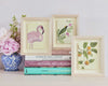 Botanical Mini Art Prints - Set Of 6 - Diane Hill