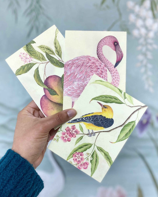 Botanical Mini Art Prints - Set Of 6 - Diane Hill