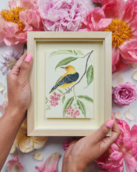 Botanical Mini Art Prints - Set Of 6 - Diane Hill