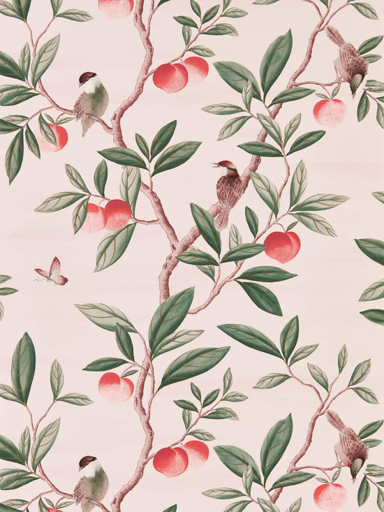 Ella wallpaper - Powder/Sage/Peach - Diane Hill