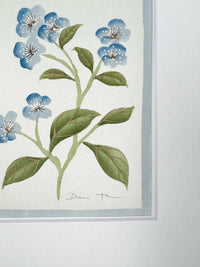 English Daisy - Blue - Diane Hill