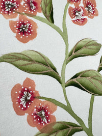 English Daisy - Coral - Diane Hill