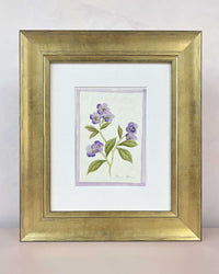 English Daisy - Lilac - Diane Hill