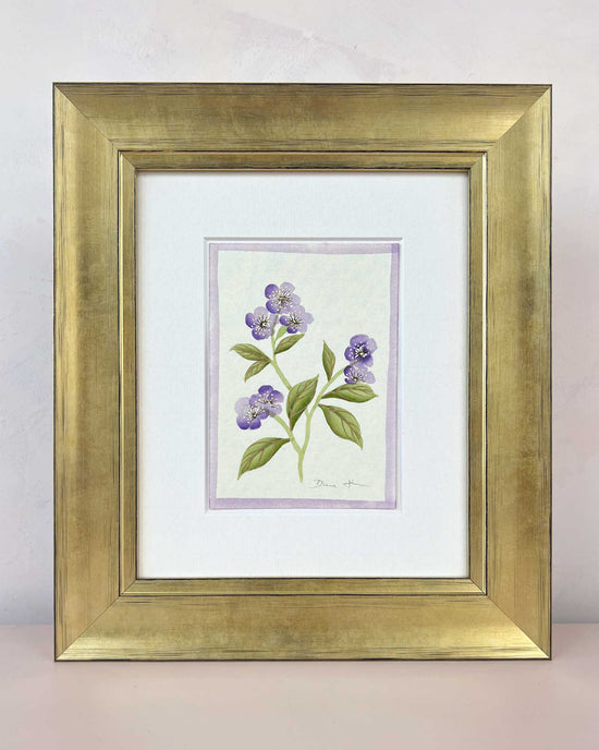 English Daisy - Lilac - Diane Hill