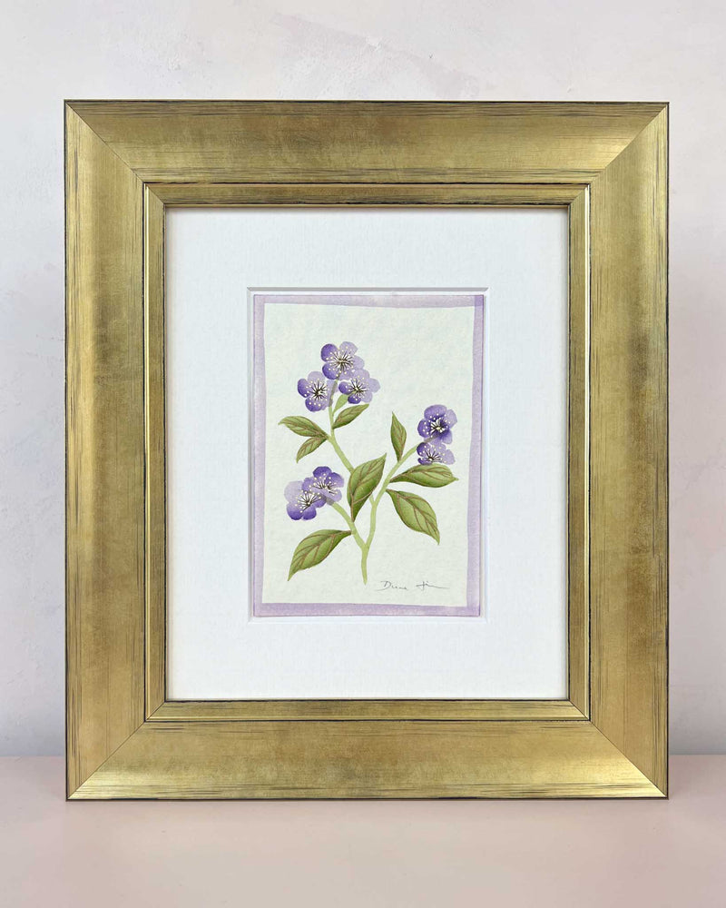 English Daisy - Lilac - Diane Hill