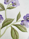 English Daisy - Lilac - Diane Hill