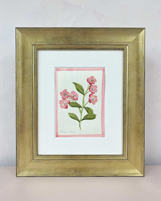 English Daisy - Pink - Diane Hill